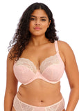 ELOMI EL4490 LUCIE - Bra Tenders NYC