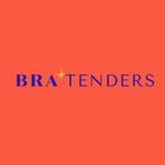 BT SILICONE TRANSFORM TRIANGLE - Bra Tenders NYC